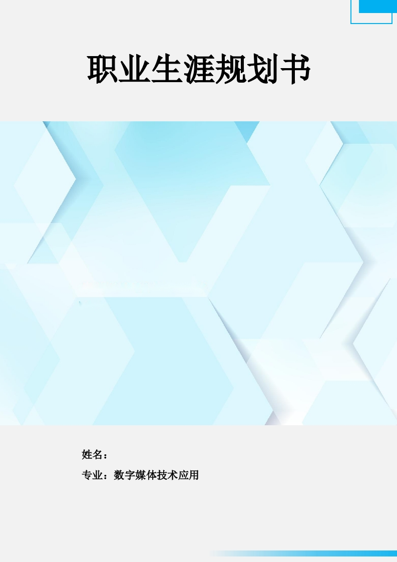 11页4200字数字媒体技术应用职业生涯规划书