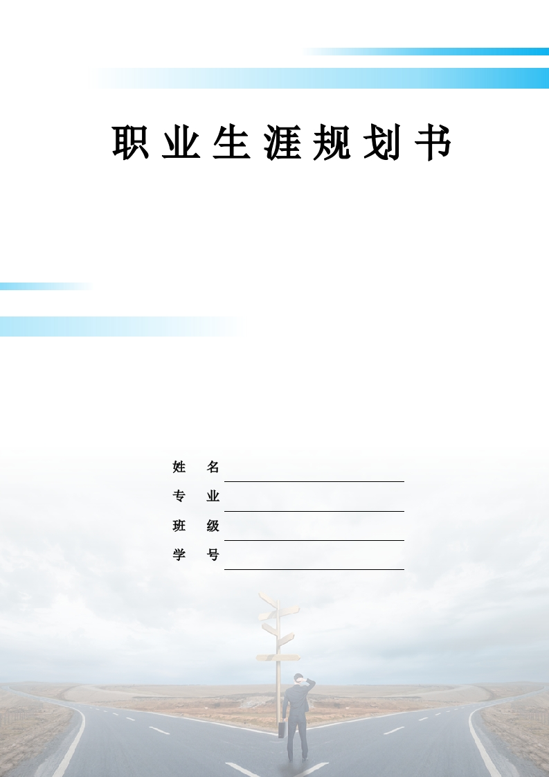 11页4500字投资与理财职业生涯规划书