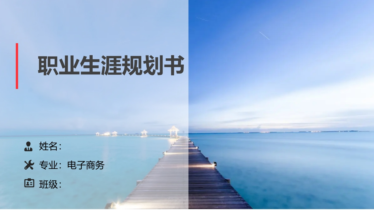 11页电子商务职业生涯规划书-学习资源网 - 分享优质学习资料