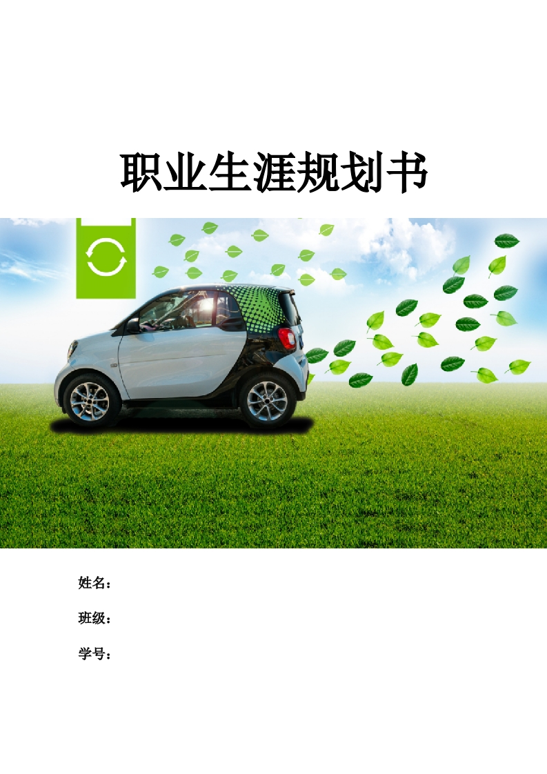 12页4700字新能源汽车职业生涯规划书