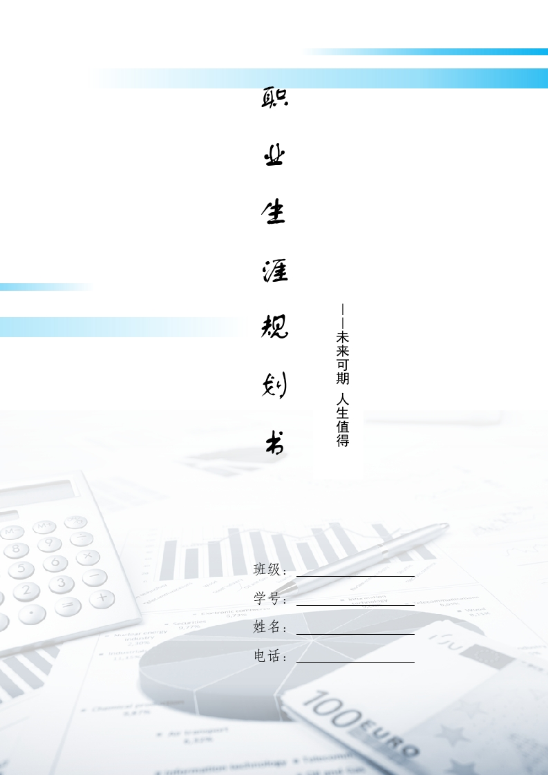 12页5000字审计学职业生涯规划书