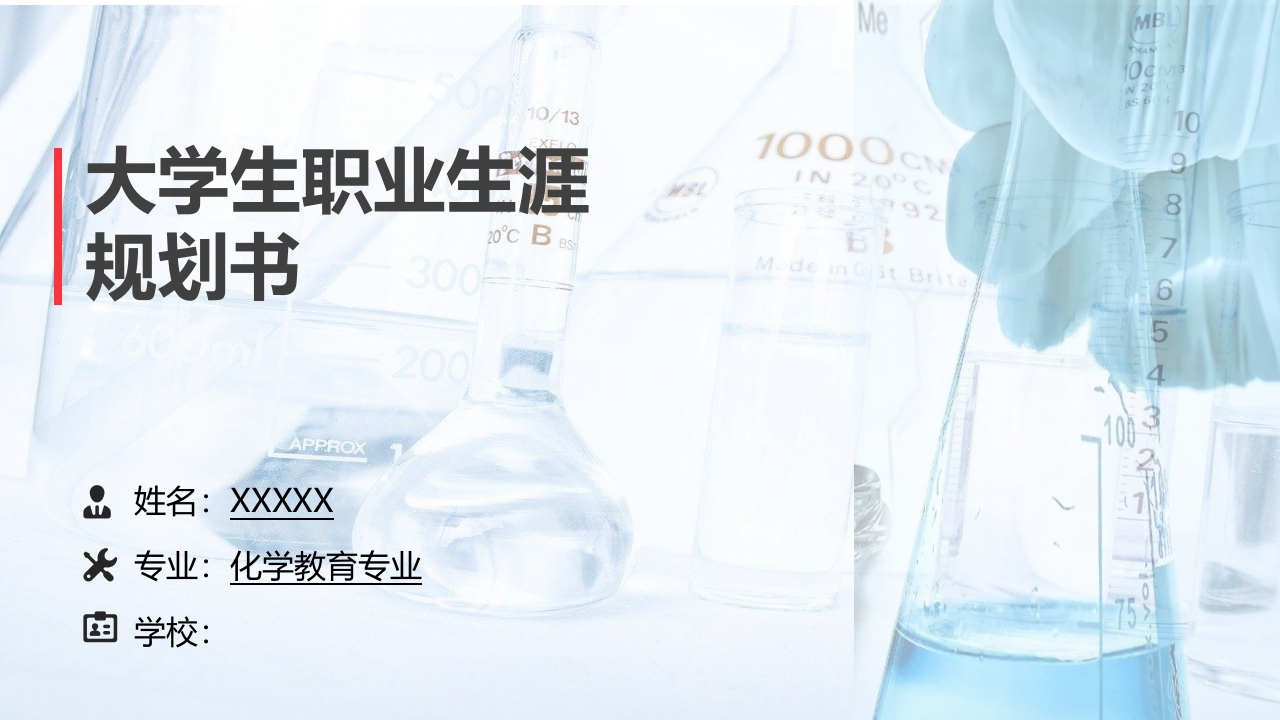 17页化学教育职业生涯规划书