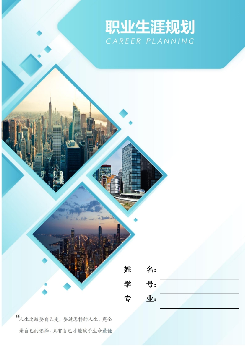 23页10000字金融科技应用职业生涯规划书