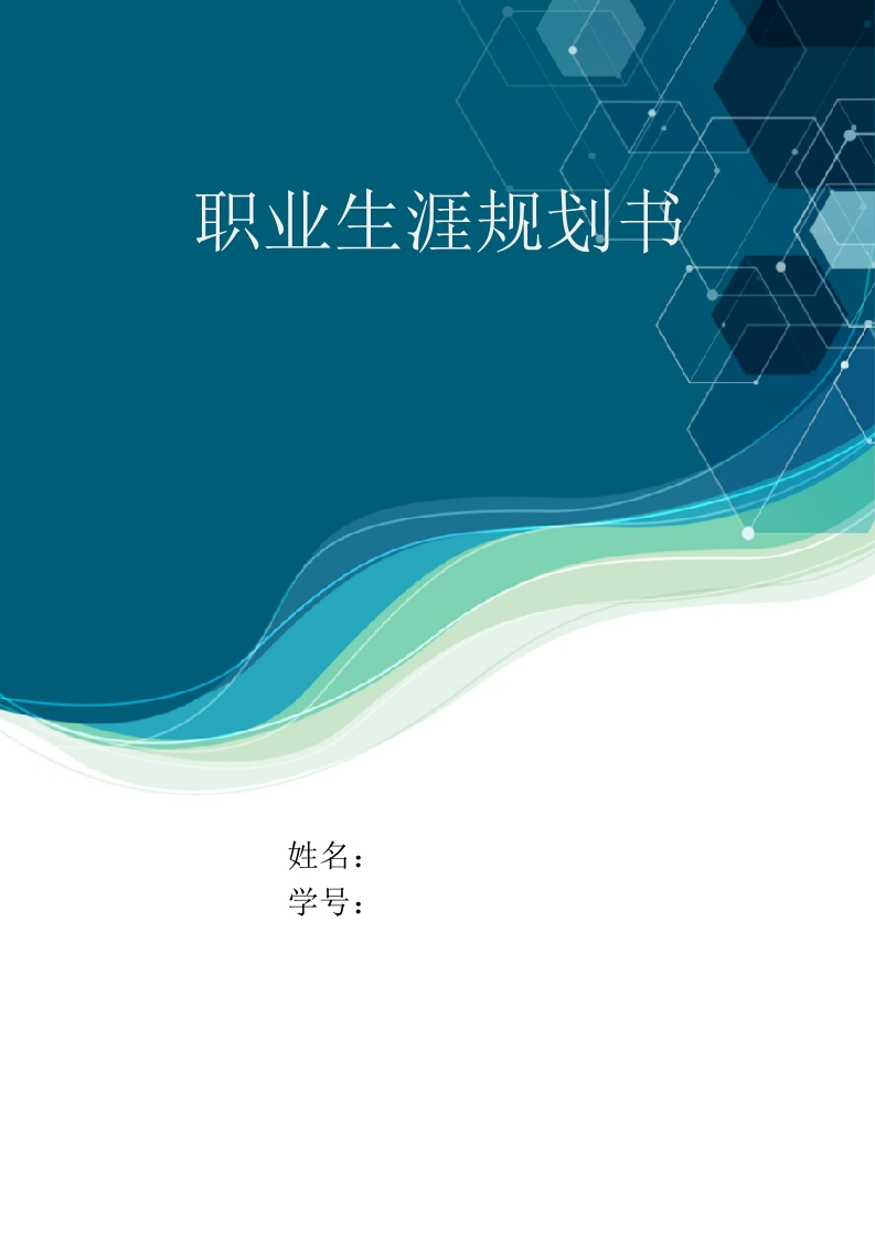 6页1700字会计职业生涯规划书