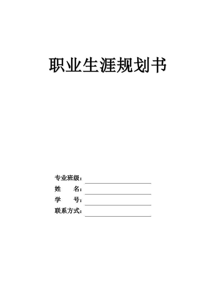 8页3900字经济学类职业生涯规划书