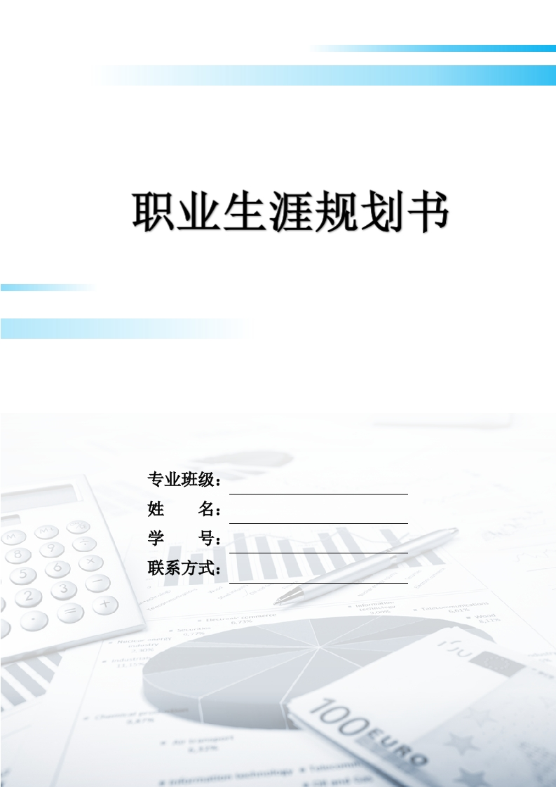 9页3500字经济学类职业生涯规划书