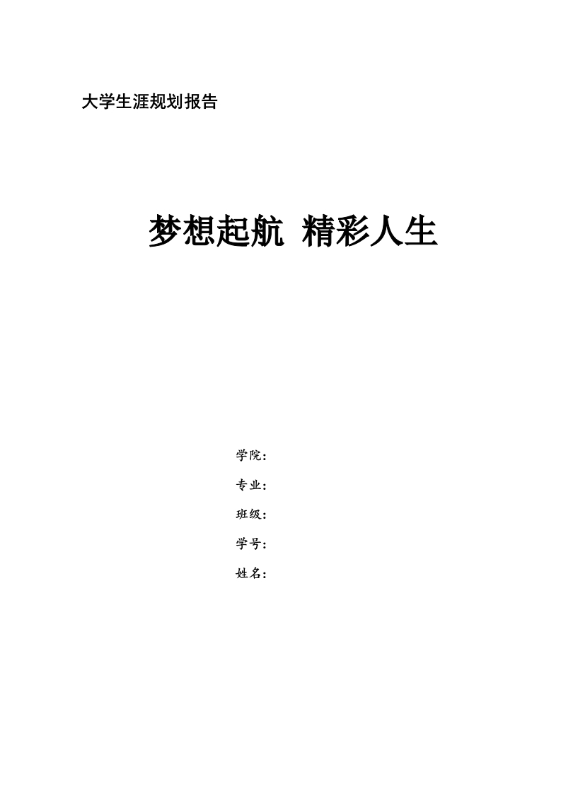 9页4100字信息与计算科学职业生涯规划书
