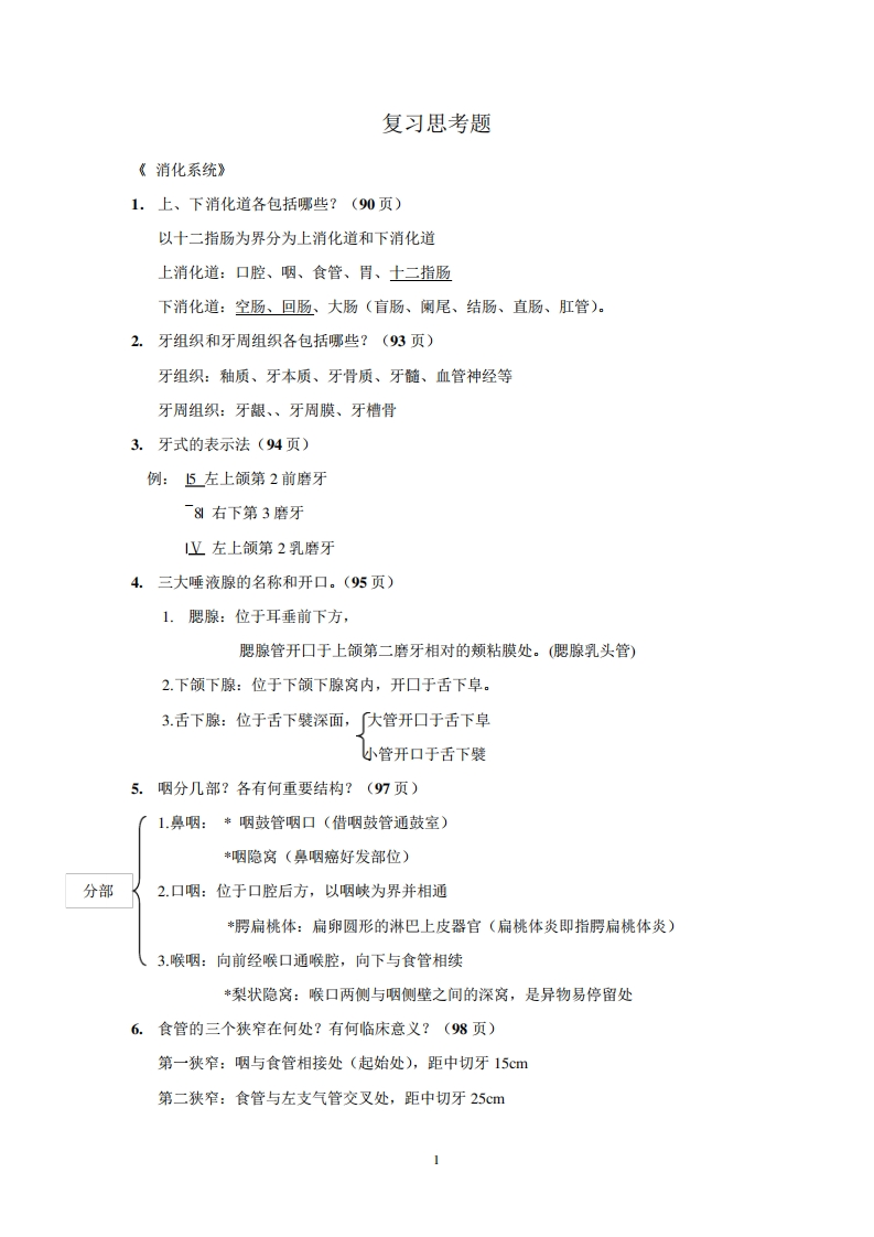 人体形态学期末复习思考题