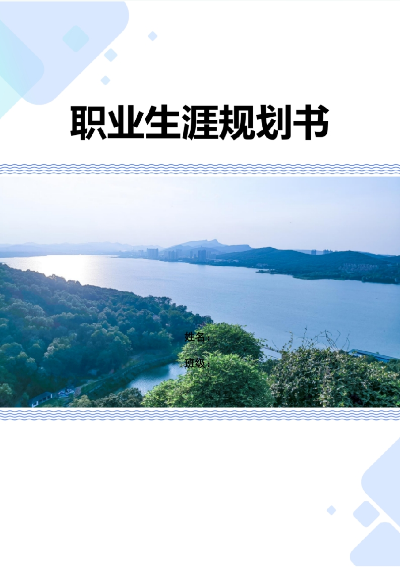 大赛最新范文—电子商务职业生涯规划书