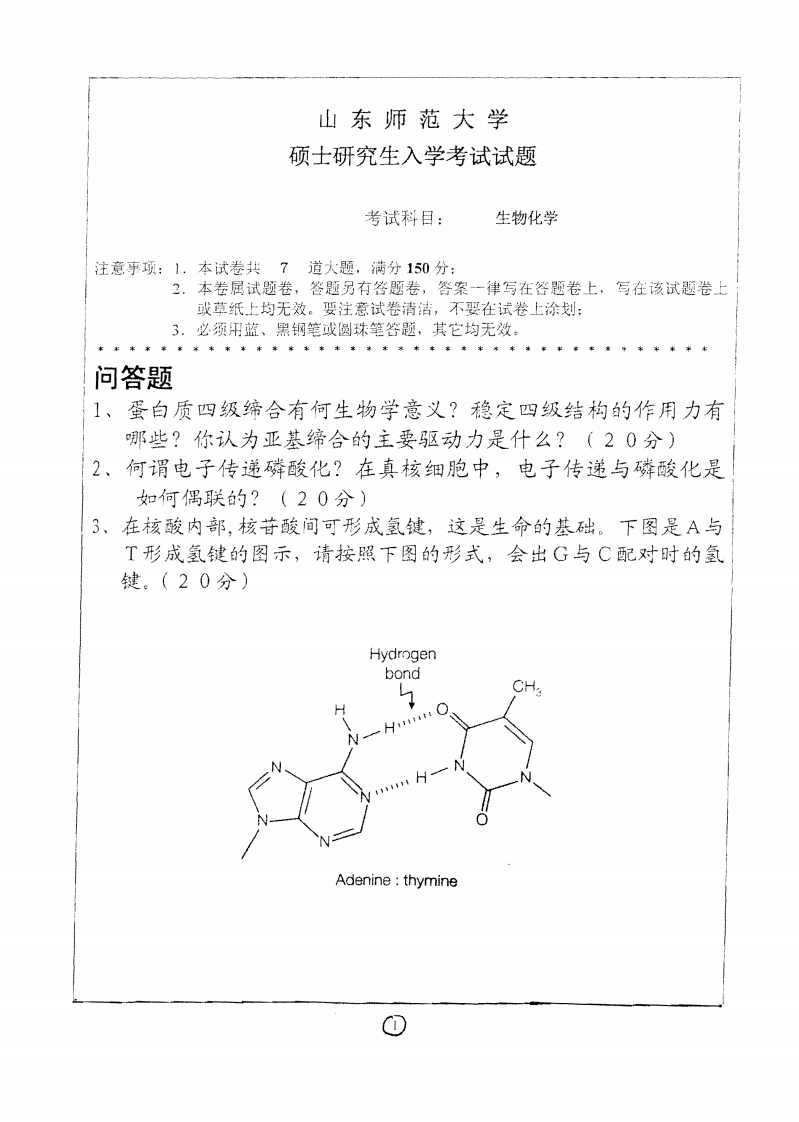 山东师范大学生物化学2010年考研试题