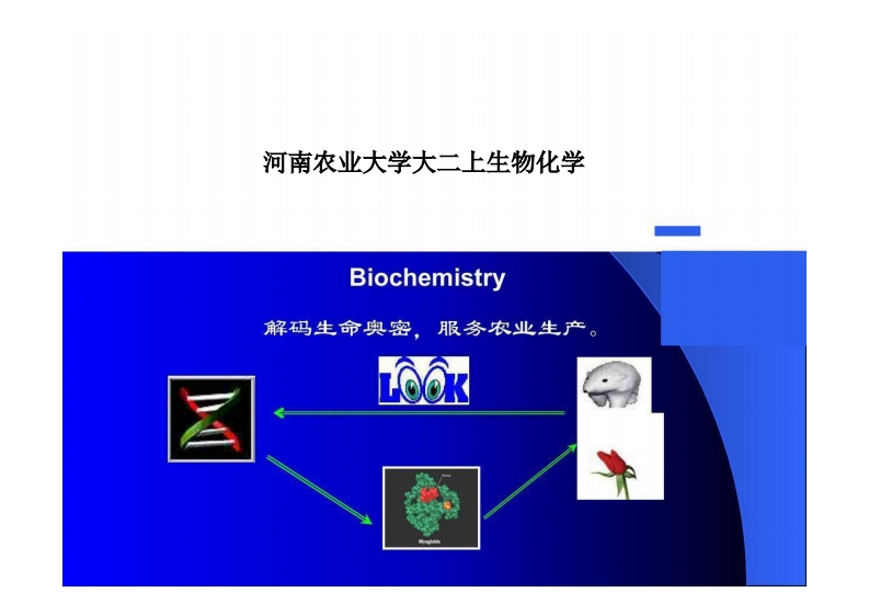 河南农业大学大二上生物化学-学习资源网 - 学习助手专注分享优质学习资源
