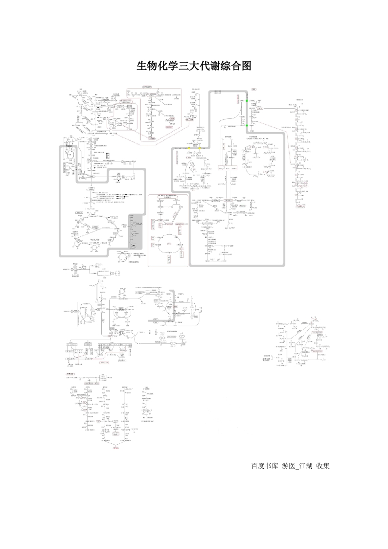 生物化学三大代谢综合图